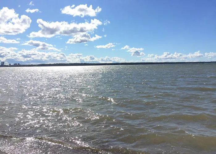 Stroomi Residents * Таллин